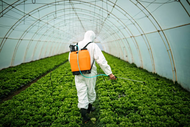 Best Pest Removal Services  in Ceresco, NE