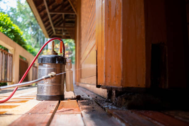Best Termite Control Services  in Ceresco, NE