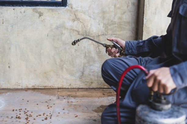Best Pest Control for Homes  in Ceresco, NE